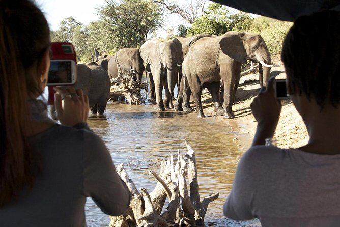 Chobe Full Day Trip - A Detailed Look at the Chobe Full Day Trip