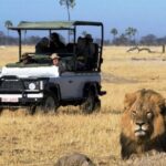 Chobe National Park 4X4 Day Safari and River Cruise - The Sum Up: Is It Worth It?