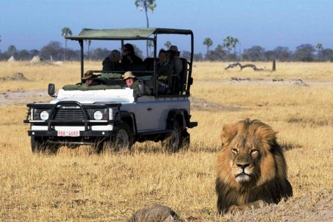 Chobe National Park 4X4 Day Safari and River Cruise - The Sum Up: Is It Worth It?