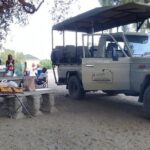 chobe national park 9hr full day game drive - Why This Safari Offers Great Value