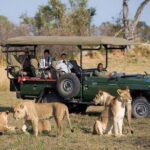Chobe National Park Camping Safari From Victoria Falls (2 Days and 1 Night) - Why This Tour Offers Great Value