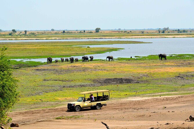 Chobe National Park Day Trip from Victoria Falls with Lunch - Insights from Travelers