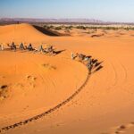 Circuit privé de 4 jours au départ de Marrakech a Merzouga Desert - What Travelers Say About This Tour