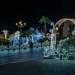 City Exploration and Old Market Shopping in Sharm El Sheikh - A Closer Look at the Itinerary