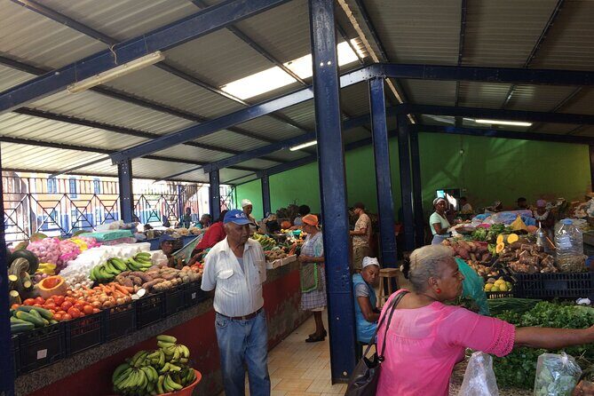 City Walking Tour, Mindelo, Highlights - What Makes This Tour Stand Out?