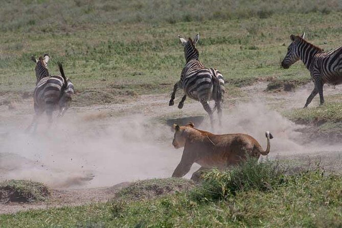 Classic Best Adventure In Kenya And Tanzania 2025 - Authentic Encounters and Optional Extras