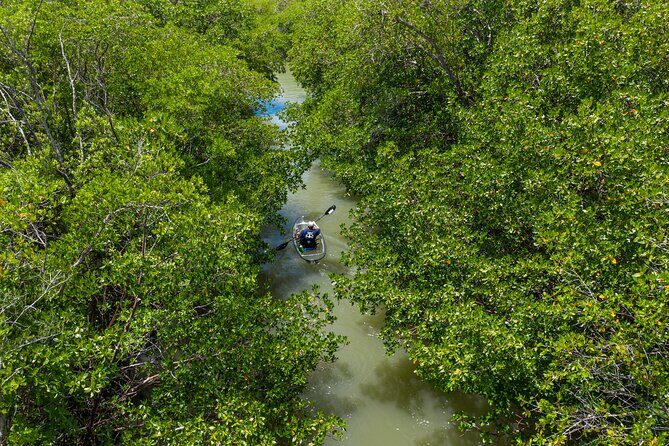 Clear Kayak Guided Eco Tour in North Naples - The Experience Breakdown