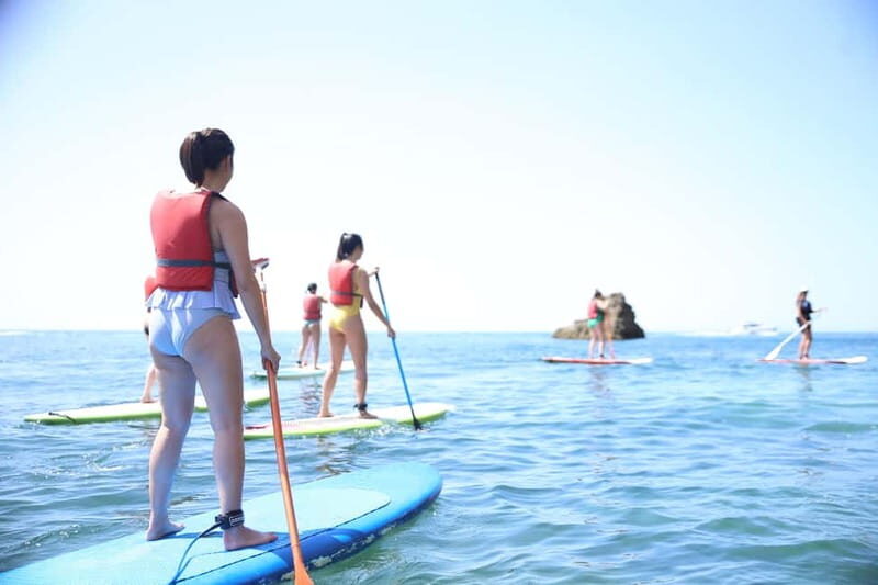 Cliffs & Caves Stand Up Paddle Adventure - The Itinerary: What You Can Expect