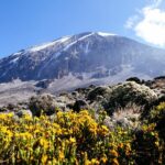 Climb Kilimanjaro - Marangu Route 8 Day Program - Day 3: Heading to Horombo Hut