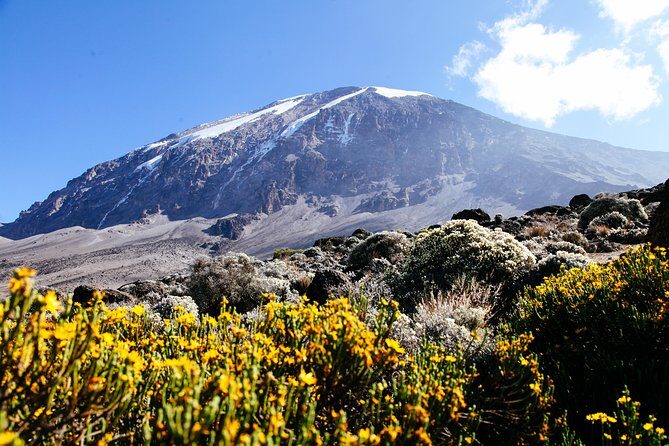 Climb Kilimanjaro - Marangu Route 8 Day Program - Day 3: Heading to Horombo Hut