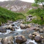 Climbing Mount Kenya 5 Days Via Chogoria Route - Authentic Experiences Shared by Reviewers