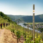 Cochem, Moselle: Wine experience hike with boat trip - Authentic Experiences and What Travelers Say