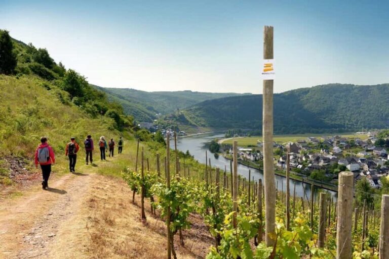 Cochem, Moselle: Wine experience hike with boat trip - Authentic Experiences and What Travelers Say