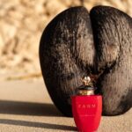 Coco de Mer Collection FREE Factory Tour & Shop - Authentic Insights from Visitors