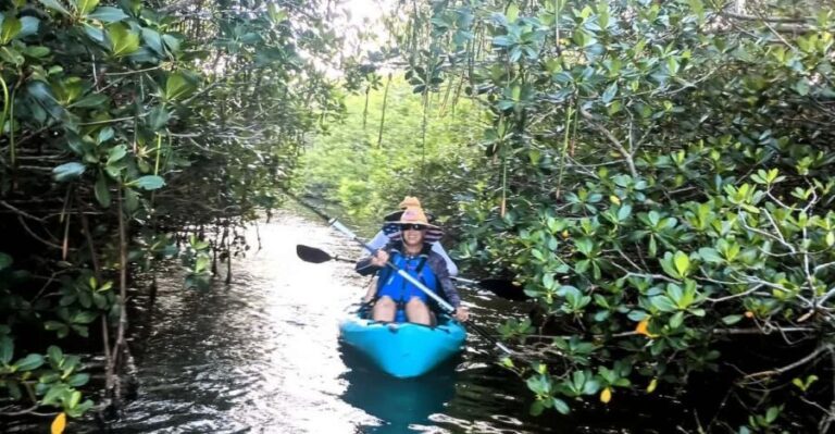 Cocoa Beach/Merritt Island: Guided Dolphin and Manatee Tour - The Travel Experience and Value