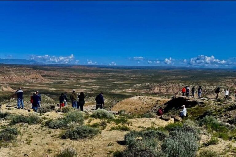 Cody: Wild Mustang Small Group Eco Tour - The Itinerary and What You’ll Experience