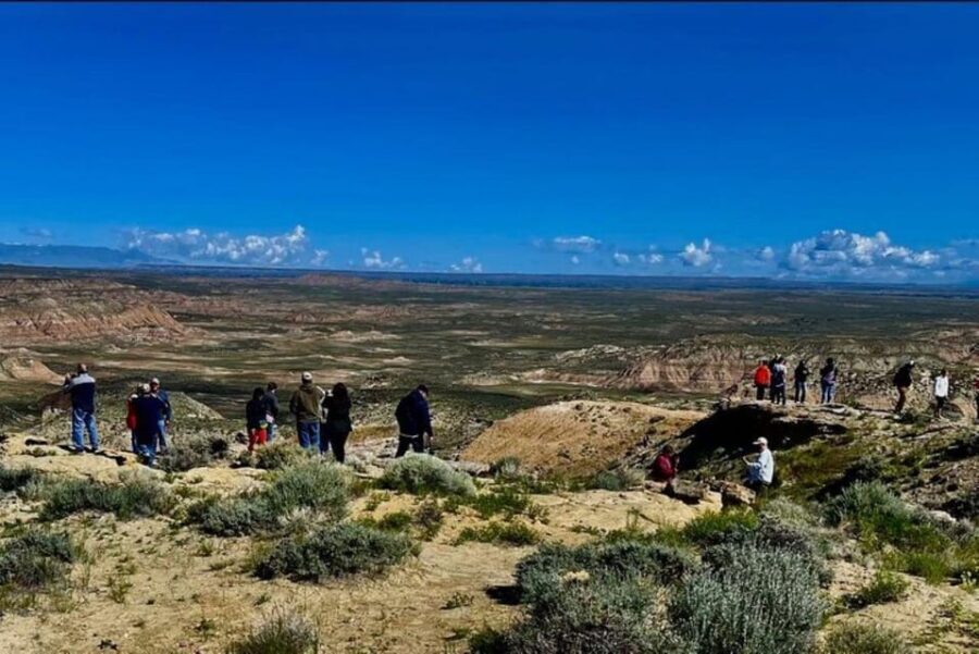 Cody: Wild Mustang Small Group Eco Tour - The Itinerary and What You’ll Experience