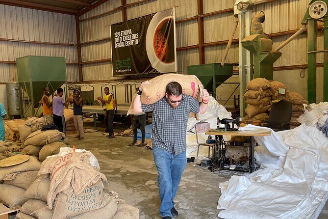 Coffee Cupping Tour in Addis Ababa - What to Expect on the Itinerary