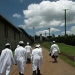Coffee Farm Half-Day Tour in Kenya - The Authenticity and Value of the Experience