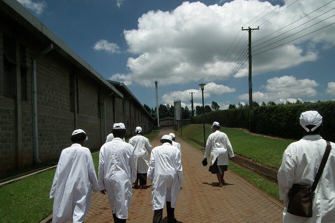 Coffee Farm Half-Day Tour in Kenya - The Authenticity and Value of the Experience