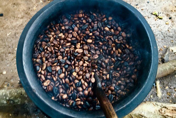 Coffee tour and Buffet Lunch with Kingstone Asilia (Arusha) - Is This Tour Worth It?