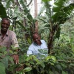 Coffee walk with stay in the village - Day 1: Settling In and Village Walk