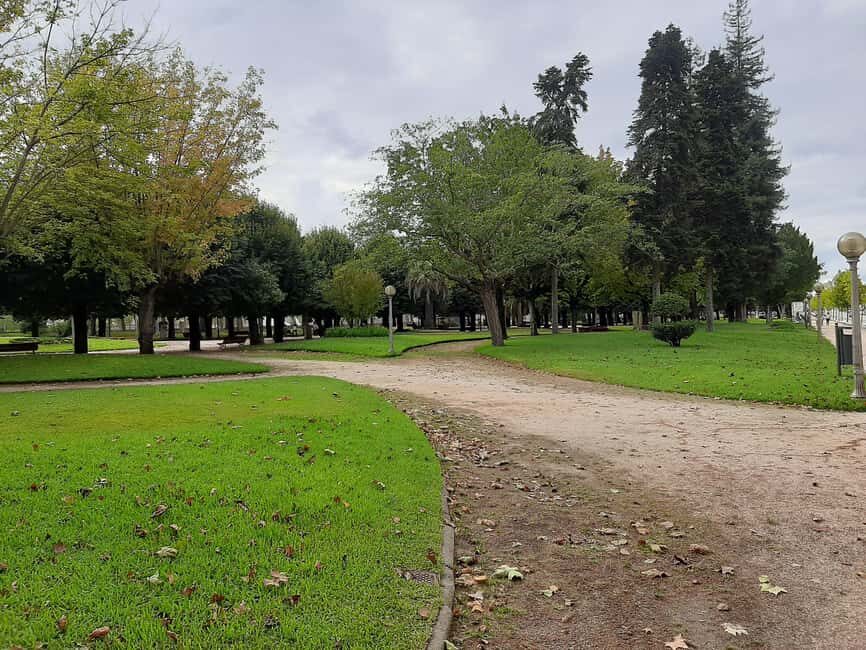 Coimbra: guided tour with a cinematic perspective - What to Expect from the Cinematic Tour