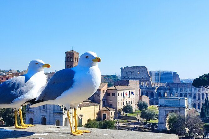 Colosseum, Roman Forum & Palatine Hill - Group Tour - Authentic Insights From Reviews