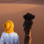 Combined Tour: Atlas Mountains Trek and Sahara Desert 5 days Tour - Why This Tour Is Worth It