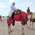 Combo Culture & Adventure: North Qatar Heritage & Desert Safari - Who Is This Tour Best For?