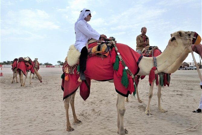 Combo Culture & Adventure: North Qatar Heritage & Desert Safari - Who Is This Tour Best For?