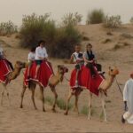 Combo Dubai City Tour and 4X4 Desert Safari with Dinner - Why This Tour Works for Different Travelers