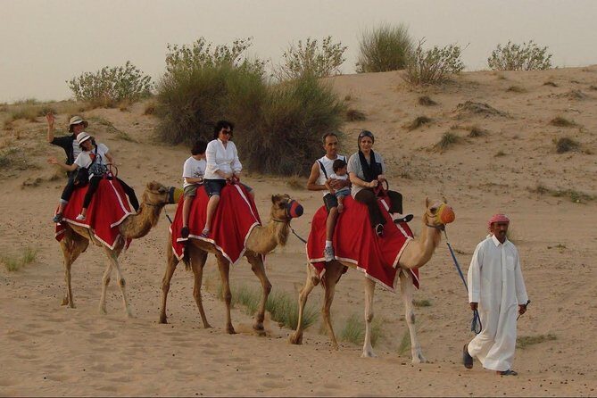 Combo Dubai City Tour and 4X4 Desert Safari with Dinner - Why This Tour Works for Different Travelers