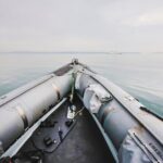 Combo Marine Wildlife Cruise & Cape Point Full Day Tour in CT - Why This Tour Works
