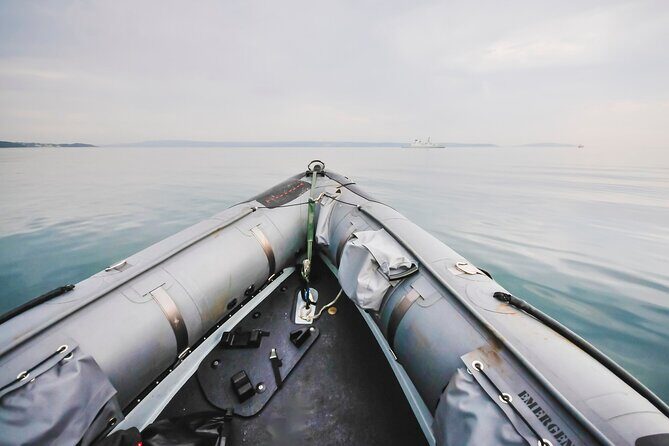 Combo Marine Wildlife Cruise & Cape Point Full Day Tour in CT - Why This Tour Works