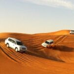 Combo Tour - Dubai Desert Safari and Dhow Cruise Dinner - Who Will Appreciate This Tour?