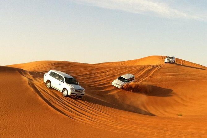 Combo Tour - Dubai Desert Safari and Dhow Cruise Dinner - Who Will Appreciate This Tour?