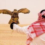 Combo Tours: Half-Day Dubai City Tour With Evening Red Dunes Desert Safari - What Do the Reviews Say?