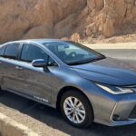 Comfortable Transfe(ASWAN TO ABU SIMBEL)with optional guided tour - A Detailed Look at the Transfer from Aswan to Abu Simbel