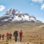 Conquer Kilimanjaro: 5-Day Marangu Route Adventure - Logistics and Value