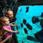 Conquest Semi Submarine and Snorkeling Sea Trip - Hurghada - Is This Tour Worth It?