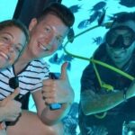 Conquest Semi Submarine Snorkeling Trip With transfer -Hurghada - Key Points