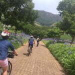 Constantia Hidden Gem Cycle Full Day - Private Tour - The Experience: A Closer Look