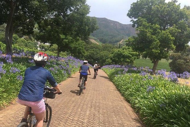 Constantia Hidden Gem Cycle Full Day - Private Tour - The Experience: A Closer Look