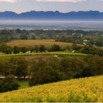 Constantia Hidden Gem Cycle Half Day - Private Tour - The Sum Up