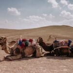Cooking class with Berber Family and camel rides - What the Tour Feels Like
