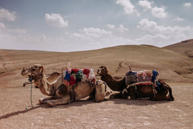 Cooking class with Berber Family and camel rides - What the Tour Feels Like