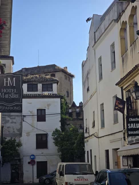 Córdoba: Entrance Ticket for the Fernandine Churches Route. - Who Should Consider This Experience?
