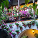 Córdoba: Guided tour in Spanish to the courtyards of Córdoba - The Itinerary Breakdown