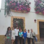 Córdoba Patio Competition: A unique experience of flowers and tradition. - Why This Tour Works for Different Travelers